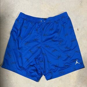 Jordan Blue Mesh Basketball Shorts with Script Accents